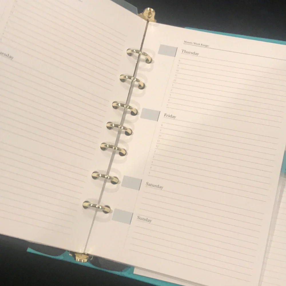 At a Glance Undated weekly monthly planner
